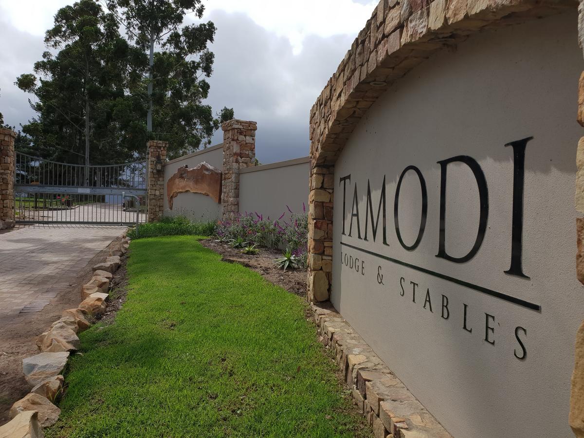 Tamodi Lodge Plettenbergbaai Buitenkant foto