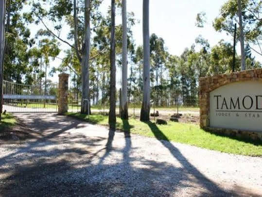 Tamodi Lodge Plettenbergbaai Buitenkant foto